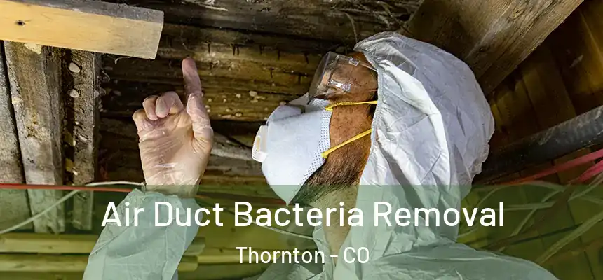  Air Duct Bacteria Removal Thornton - CO