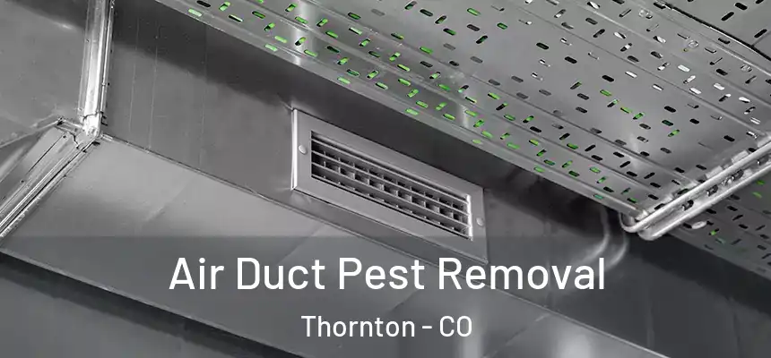  Air Duct Pest Removal Thornton - CO