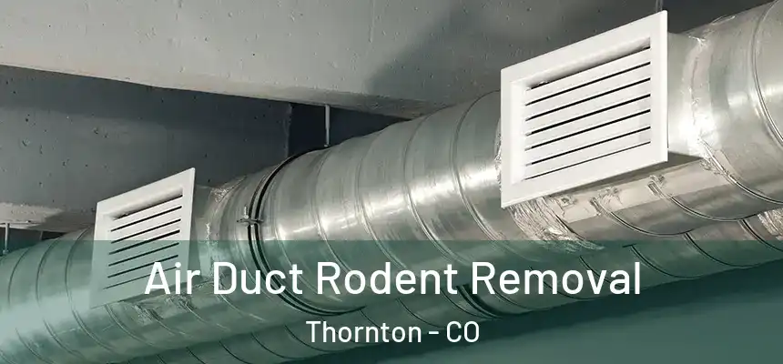  Air Duct Rodent Removal Thornton - CO