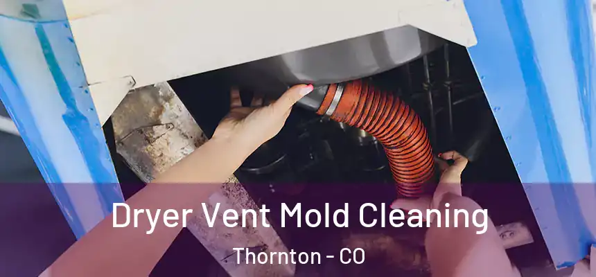 Dryer Vent Mold Cleaning Thornton - CO