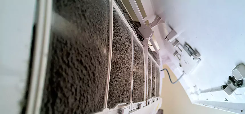 Preventive Air Duct Bacteria Removal in Thornton