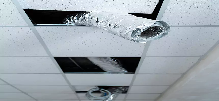 Affordable HVAC Sanitizing After Pest Removal in Thornton