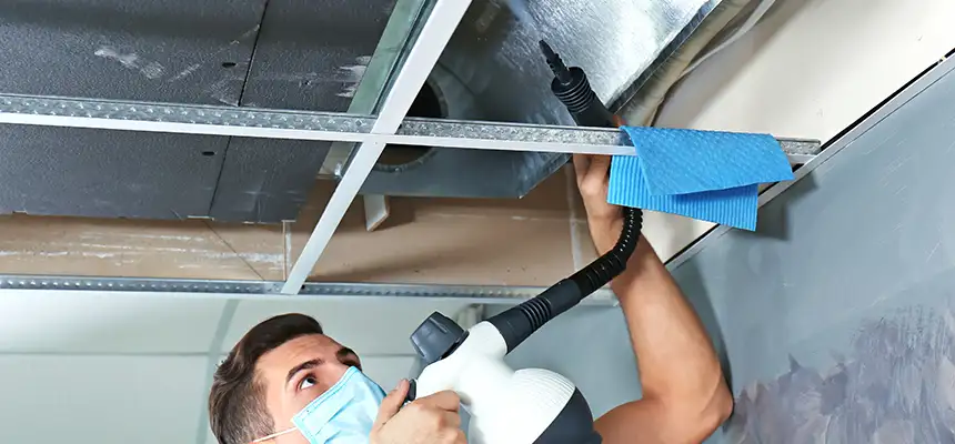 Our Air Duct Rodent Removal Services in Thornton, CO