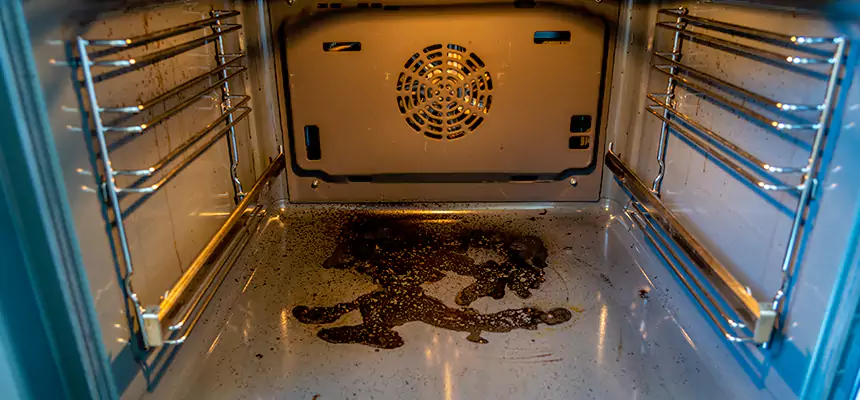 Our Dryer Vent Mold Cleaning Services in Thornton, CO