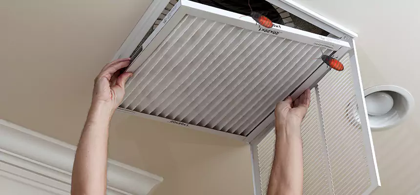 Our Insect Removal from Air Ducts Services in Thornton, CO