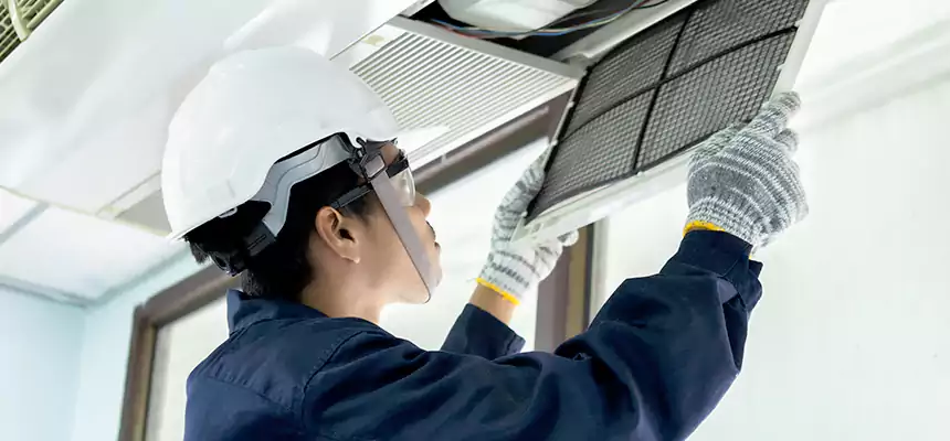 Our Mold & Mildew Removal from Air Ducts Services in Thornton, CO