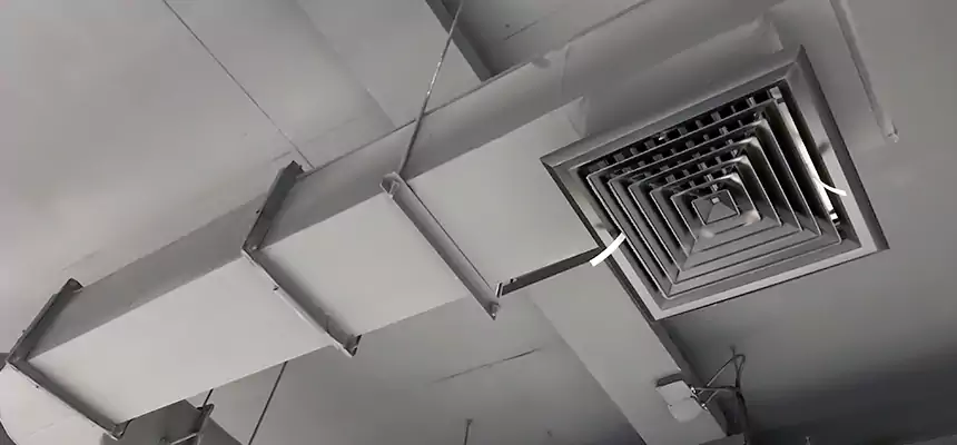 Our Pest Removal From Ducts Services in Thornton, CO