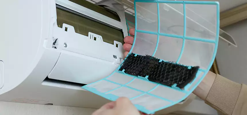 Gentle Ductwork Odor-Control Pet Dander Duct Cleaning in Thornton, CO