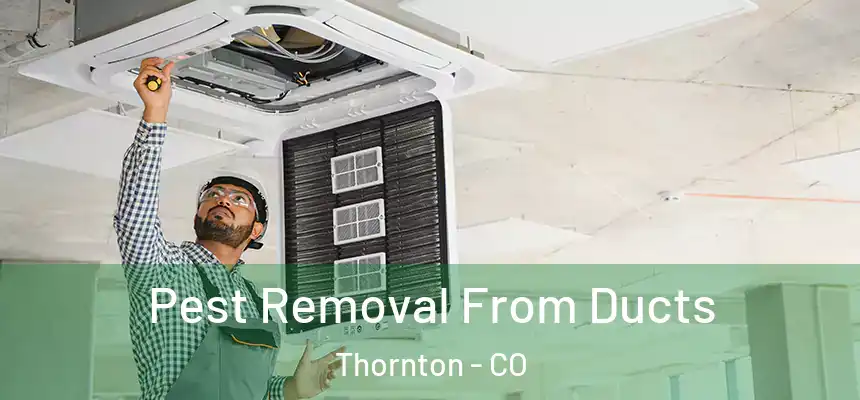  Pest Removal From Ducts Thornton - CO