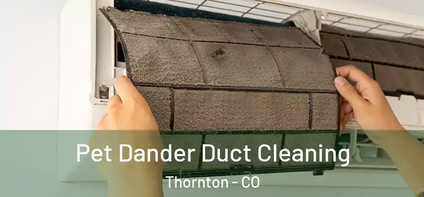Pet Dander Duct Cleaning Thornton - CO