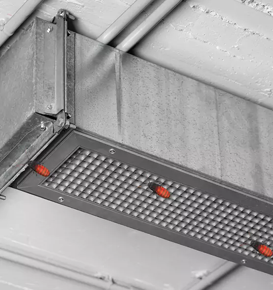 About Air Duct Cockroach Removal in Thornton, CO