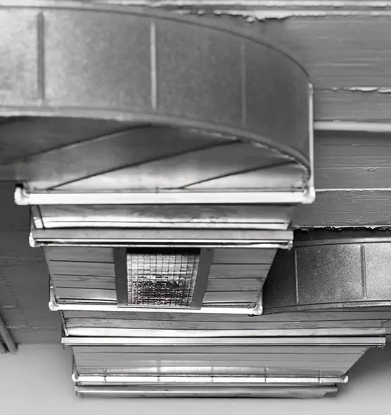 Professional Air Duct Pet Hair Removal in Thornton, CO