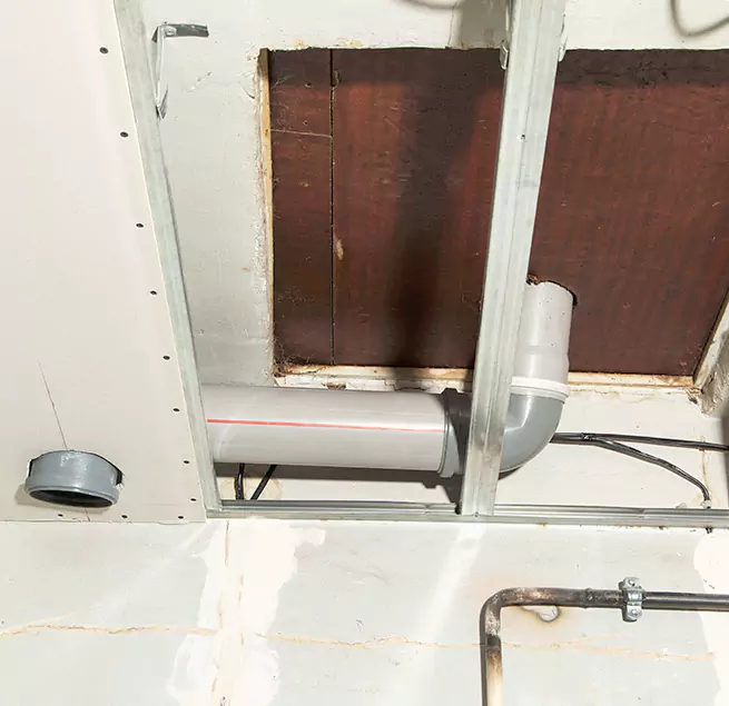 Why Homeowners & Businesses Trust Us in Thornton, CO?