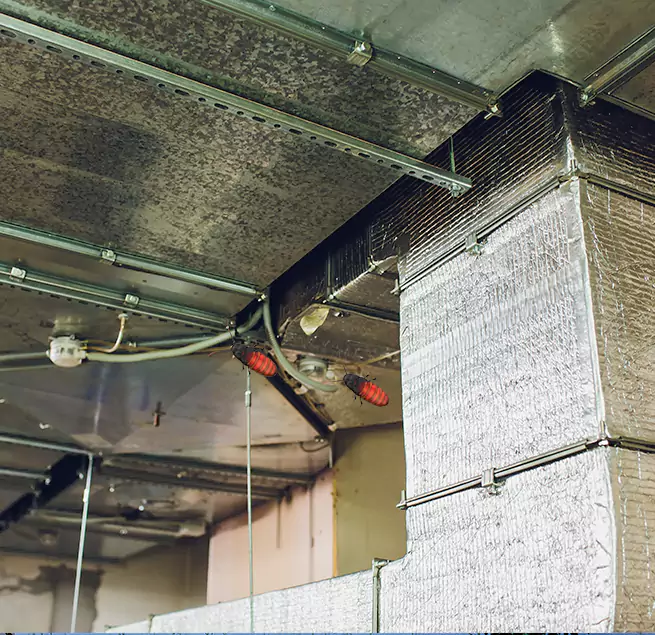 Why Homeowners & Businesses Trust Us Thornton, CO?