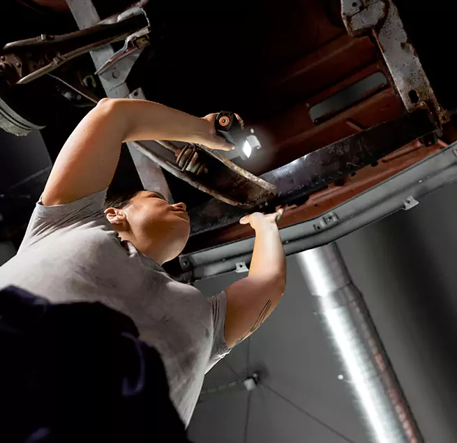 Why Homeowners & Businesses Trust Us Thornton, CO