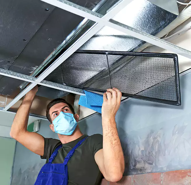 Why Homeowners Businesses Trust Us in Thornton, CO